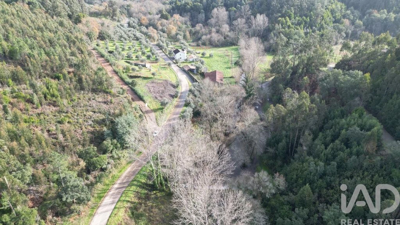 Terreno para Venda em Miranda do Corvo Foto 17