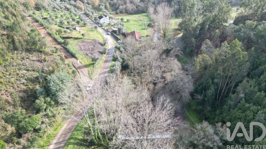 Terreno para Venda em Miranda do Corvo Foto 16
