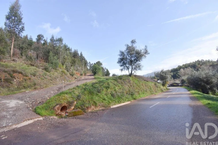 Terreno para Venda em Miranda do Corvo Foto 23