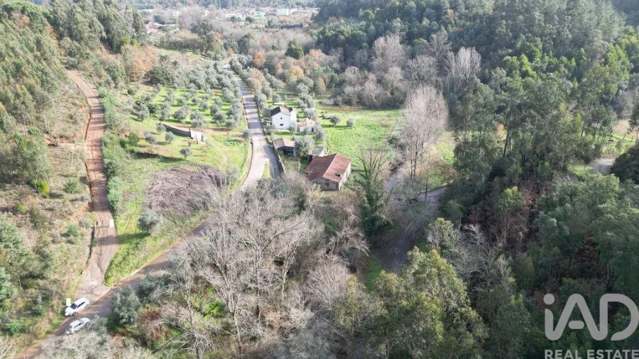 Terreno para Venda em Miranda do Corvo Foto 18