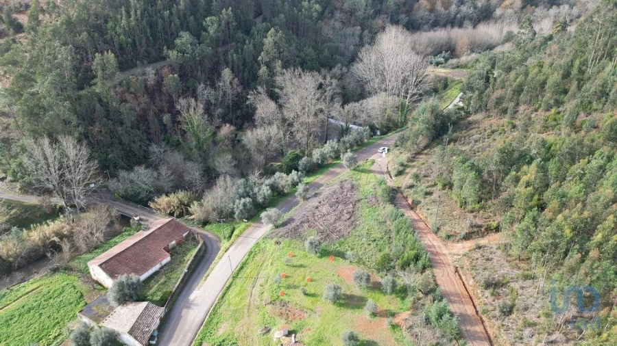 Terreno para Venda em Miranda do Corvo Foto 8