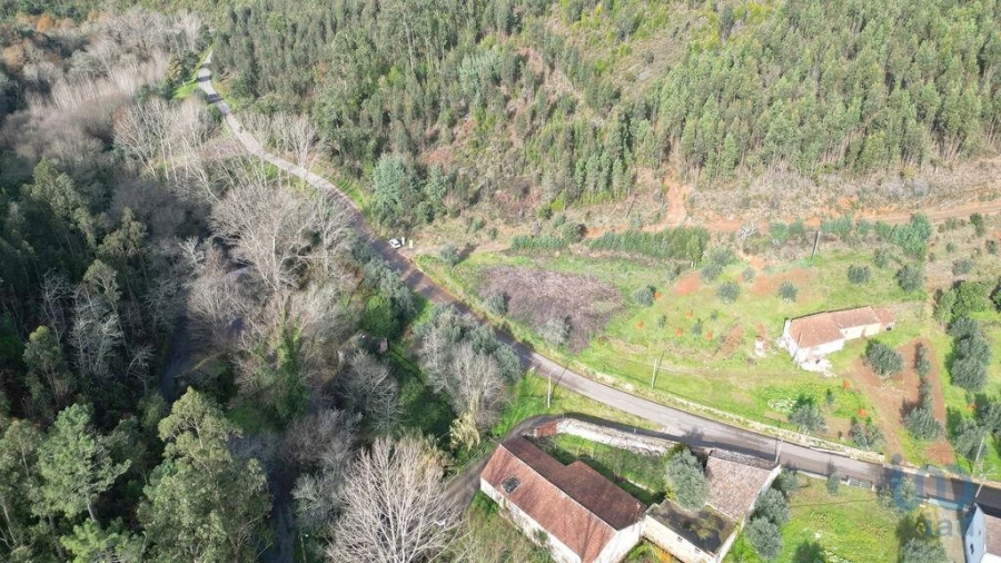 Terreno para Venda em Miranda do Corvo Foto 13