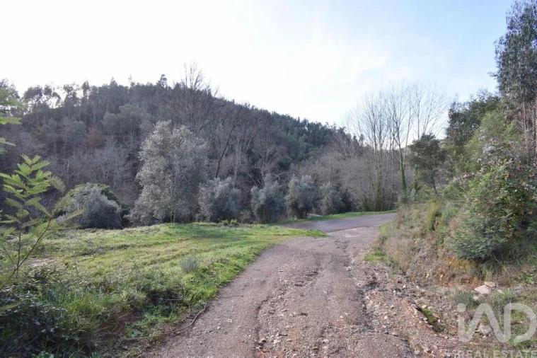 Terreno para Venda em Miranda do Corvo Foto 24