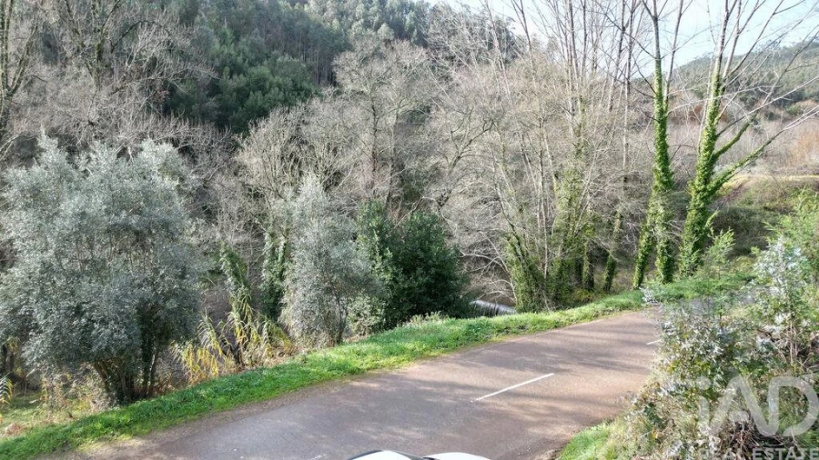 Terreno para Venda em Miranda do Corvo Foto 20