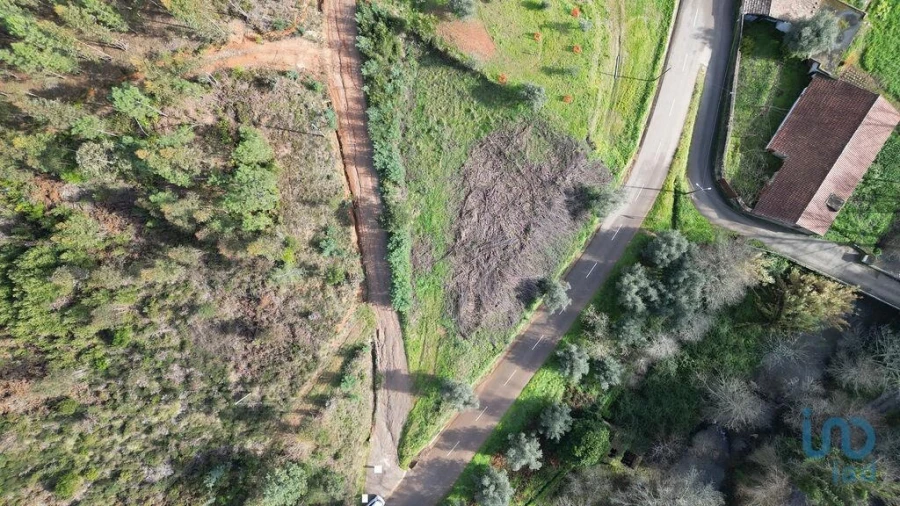 Terreno para Venda em Miranda do Corvo Foto 2