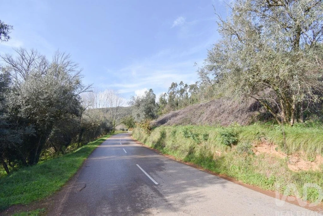 Terreno para Venda em Miranda do Corvo Foto 22