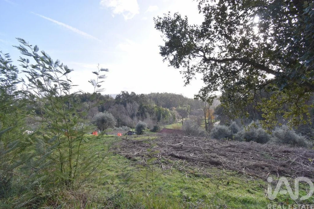 Terreno para Venda em Miranda do Corvo Foto 25
