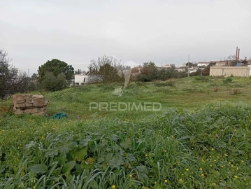 Terreno para Venda em Ribeira de Nisa e Carreiras
