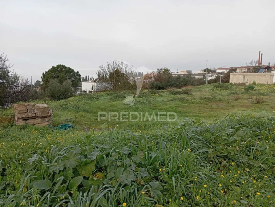 Terreno para Venda em Ribeira de Nisa e Carreiras Foto 3