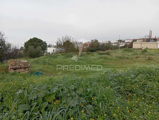 Terreno para Venda em Ribeira de Nisa e Carreiras Foto 3