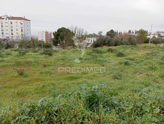 Terreno para Venda em Ribeira de Nisa e Carreiras Foto 2
