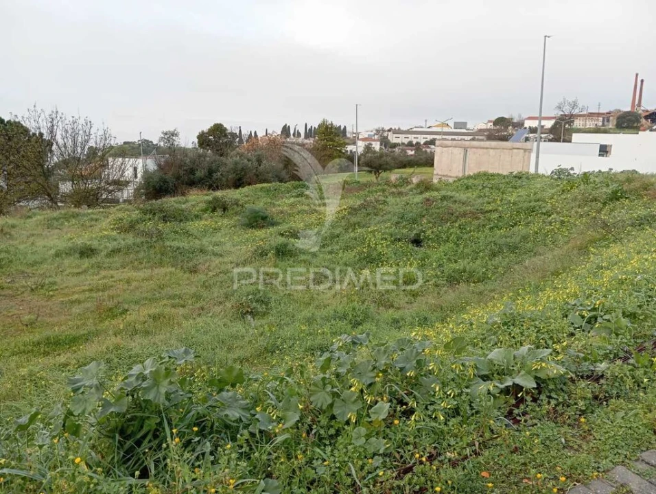 Terreno para Venda em Ribeira de Nisa e Carreiras Foto 1