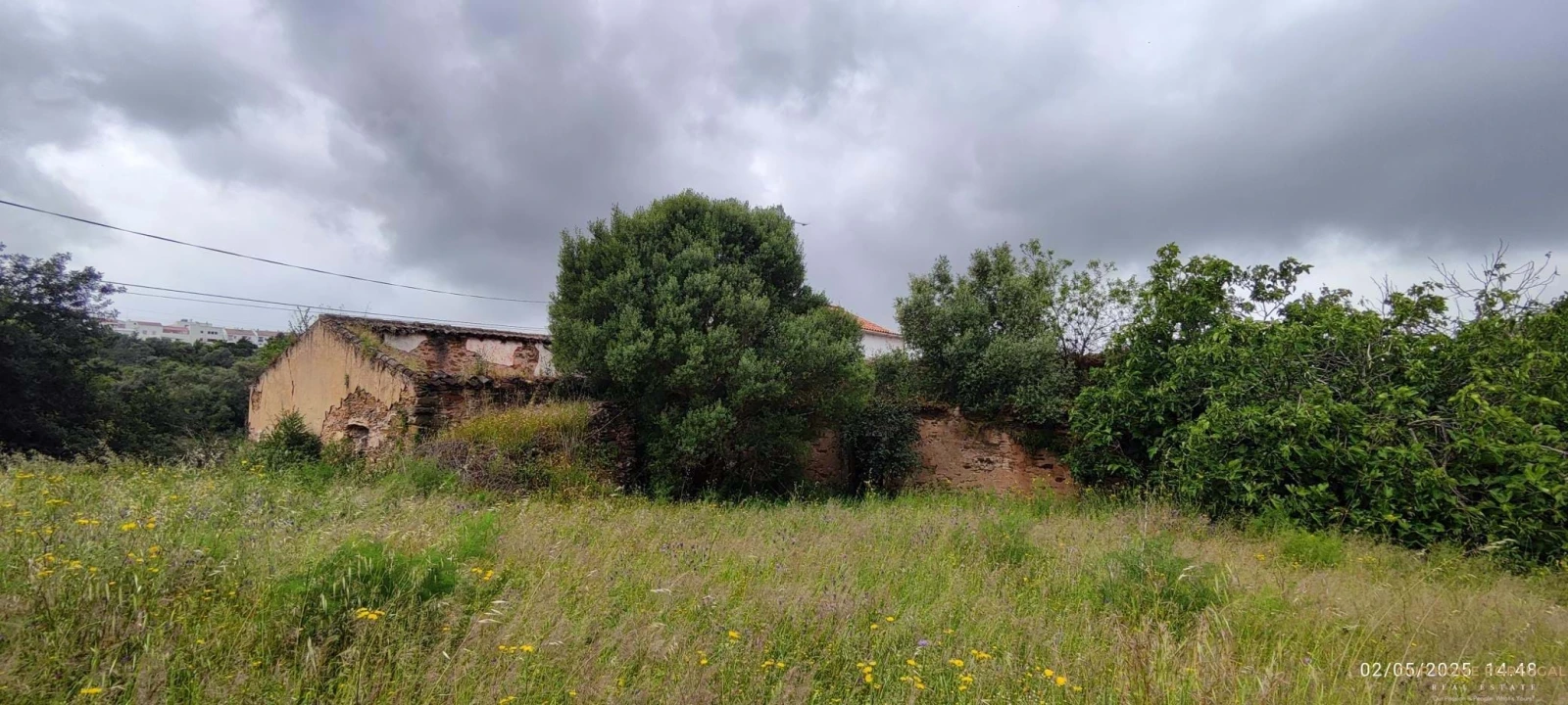 Moradia T5 para Venda em Salir Foto 2