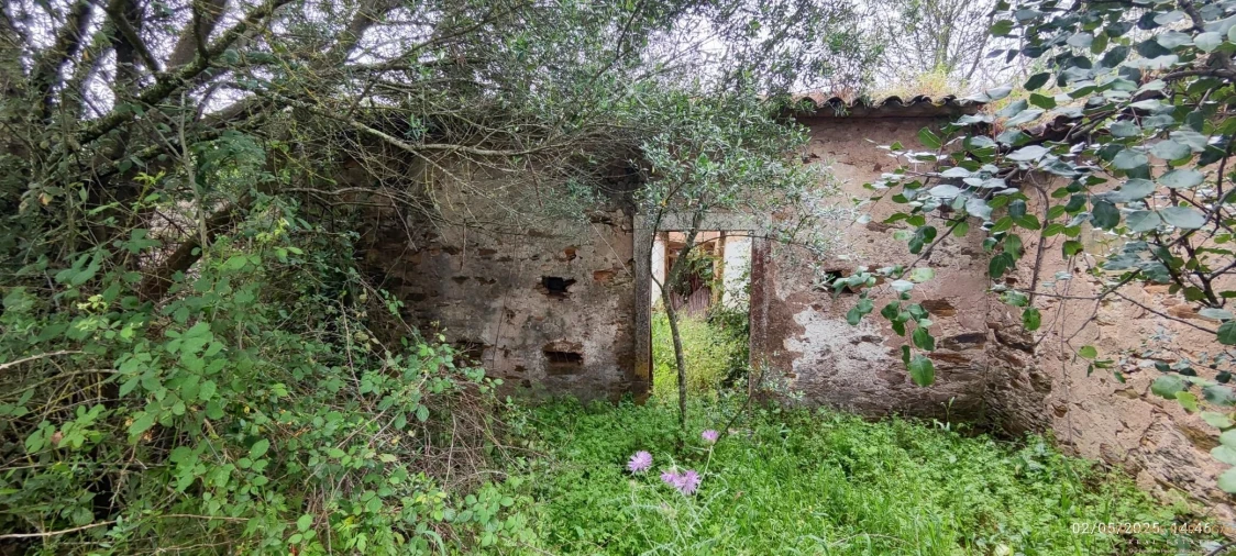 Moradia T5 para Venda em Salir Foto 14