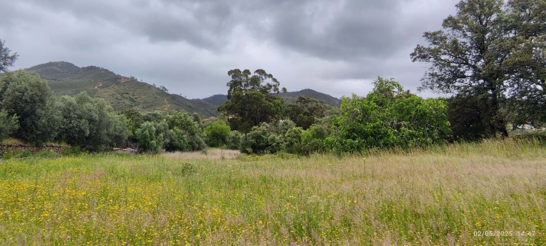 Moradia T5 para Venda em Salir Foto 11