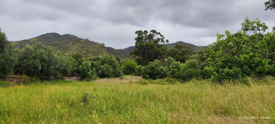 Moradia T5 para Venda em Salir Foto 12