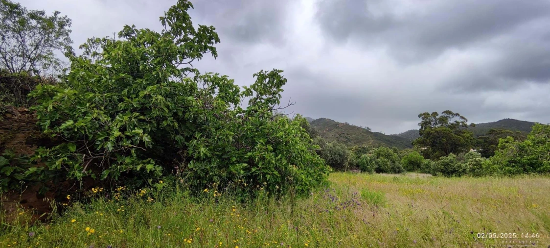 Moradia T5 para Venda em Salir Foto 20