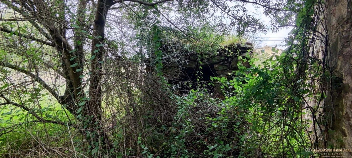 Moradia T5 para Venda em Salir Foto 13