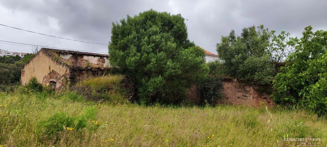 Moradia T5 para Venda em Salir Foto 5