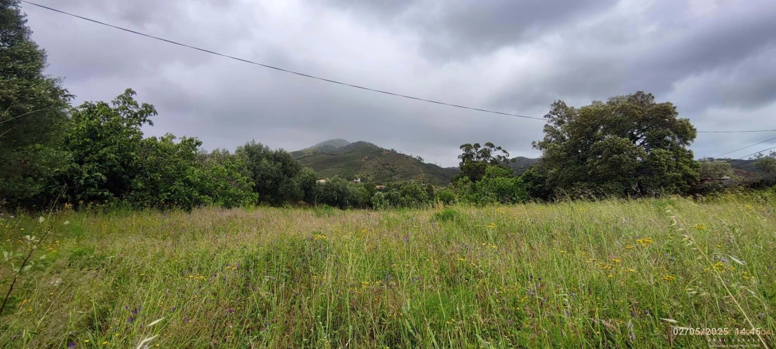 Moradia T5 para Venda em Salir Foto 21