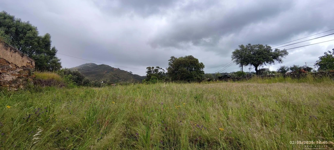 Moradia T5 para Venda em Salir Foto 22