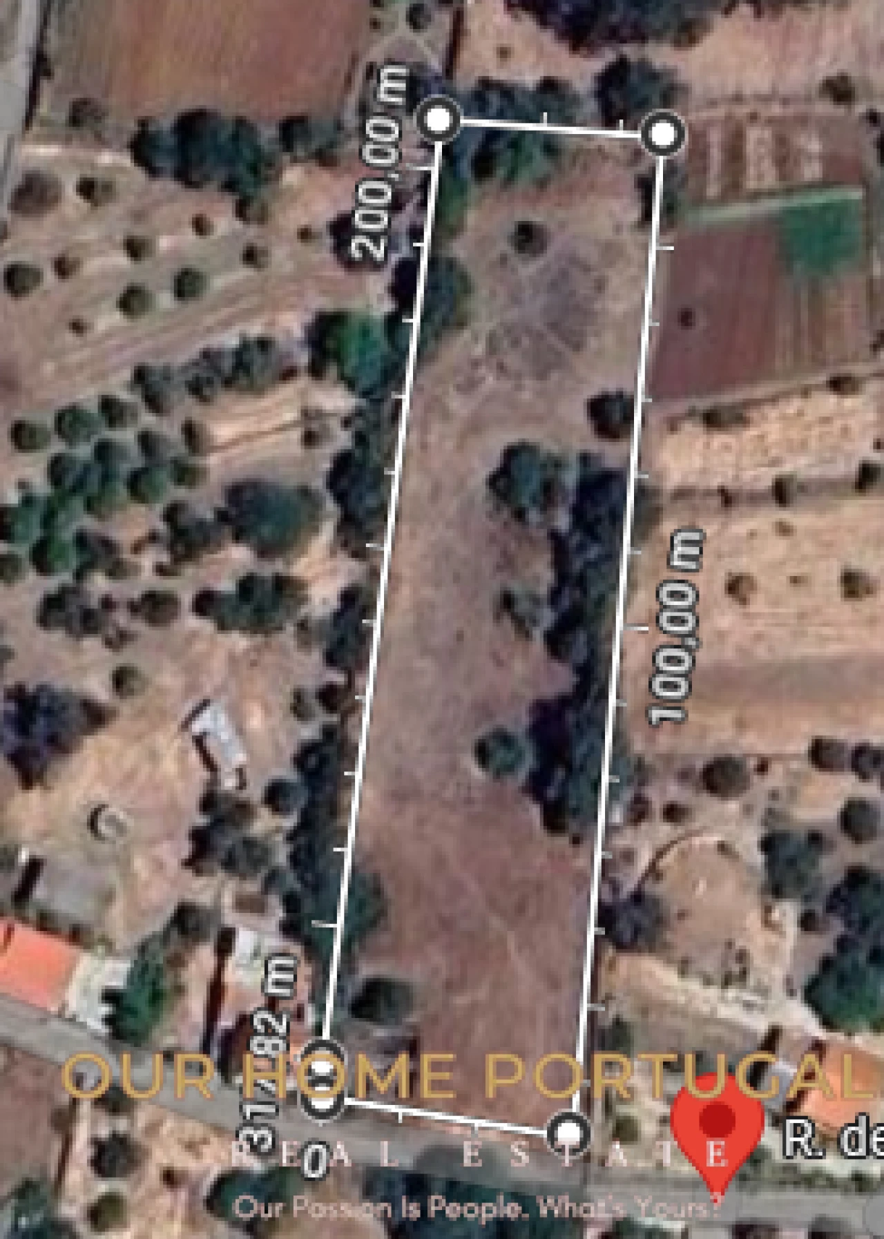 Moradia T5 para Venda em Salir Foto 24