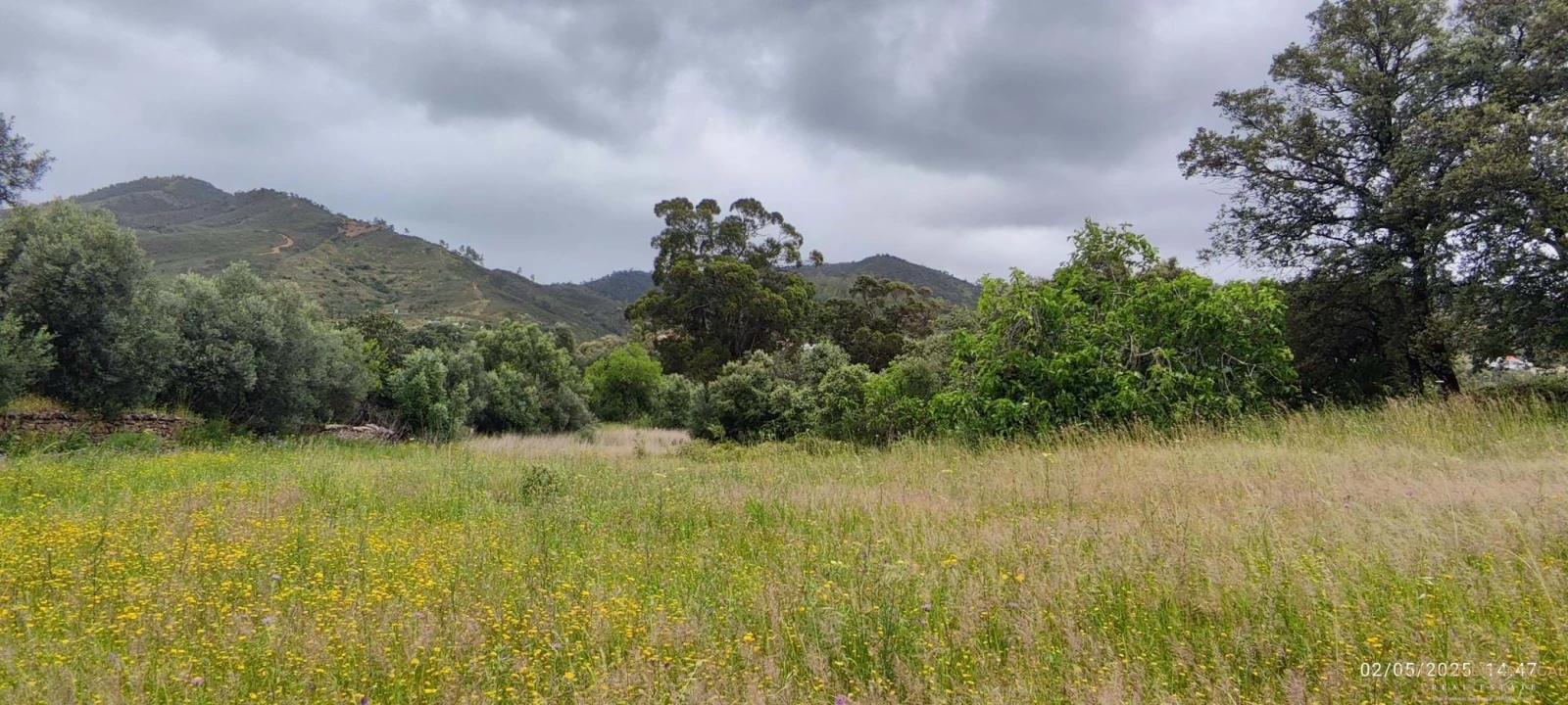 Moradia T5 para Venda em Salir Foto 11