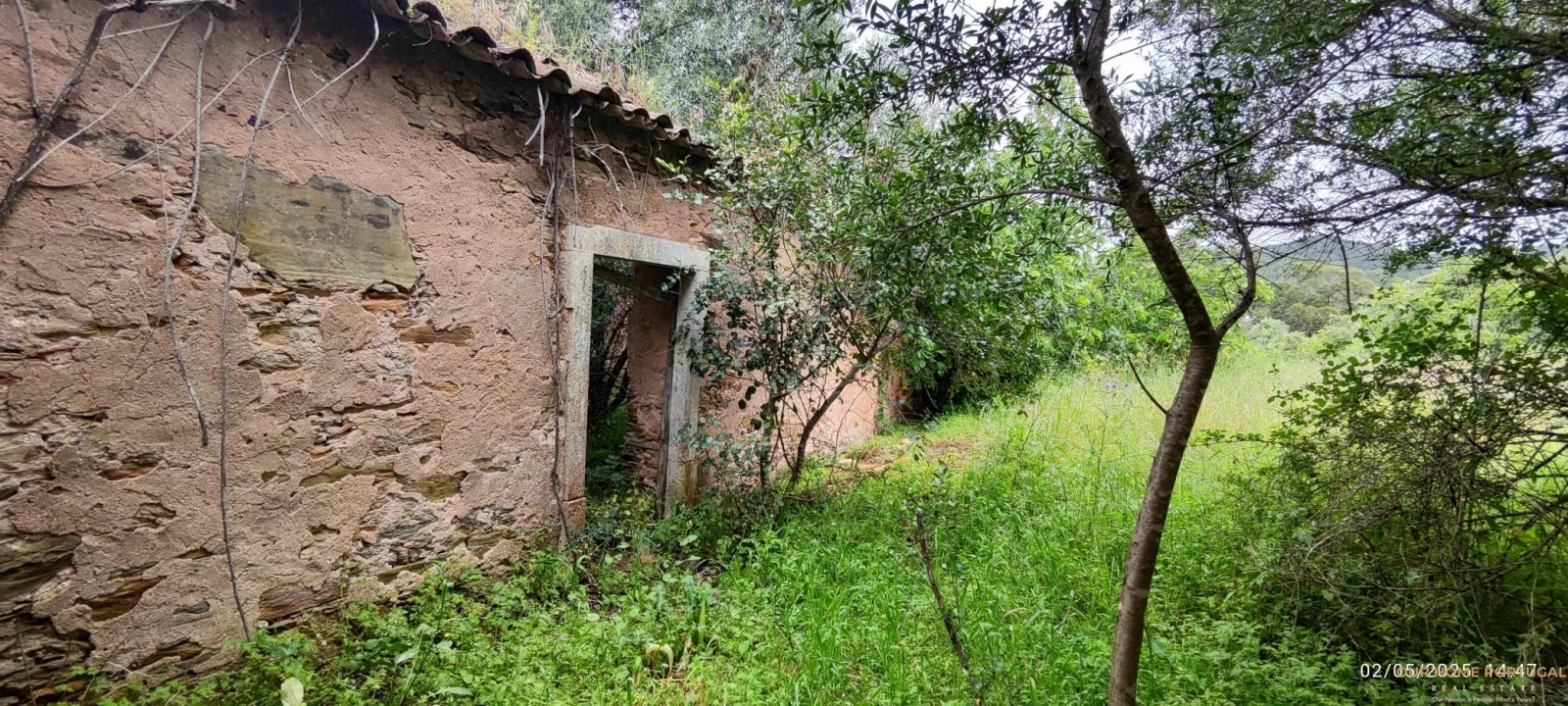 Moradia T5 para Venda em Salir Foto 3