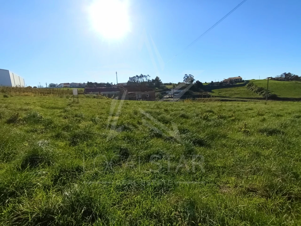 Terreno para Venda em Carvalhal Benfeito Foto 13