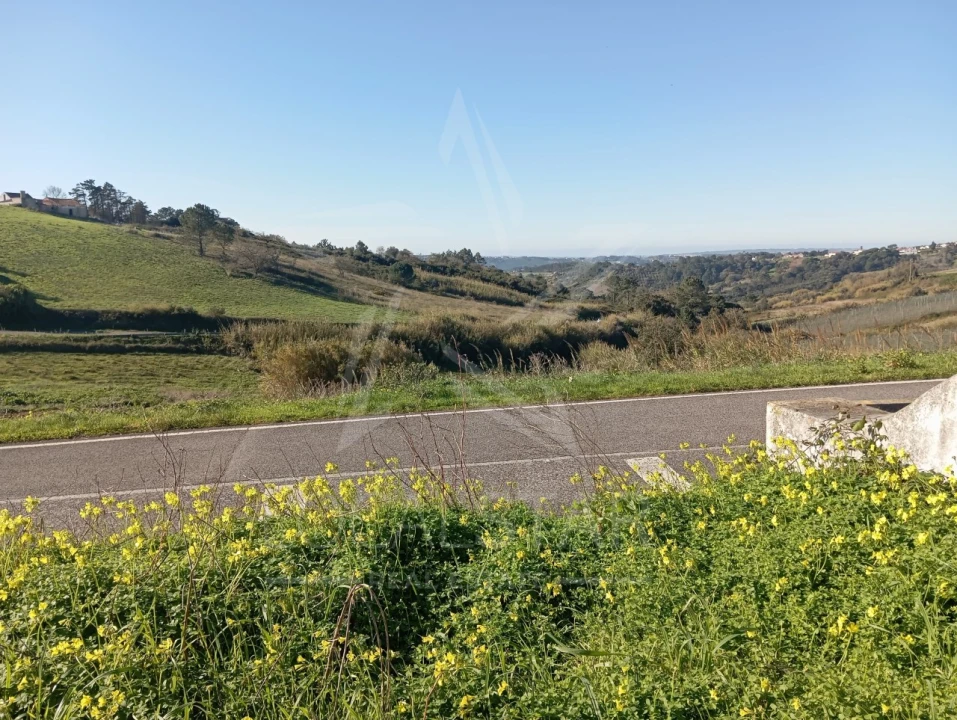Terreno para Venda em Carvalhal Benfeito Foto 22
