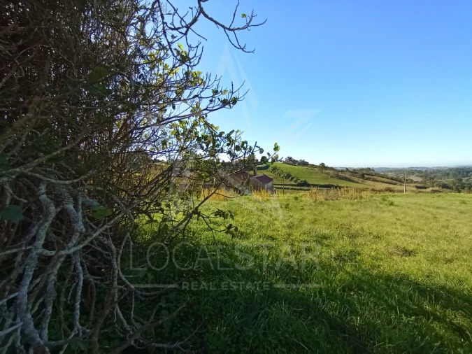 Terreno para Venda em Carvalhal Benfeito Foto 9