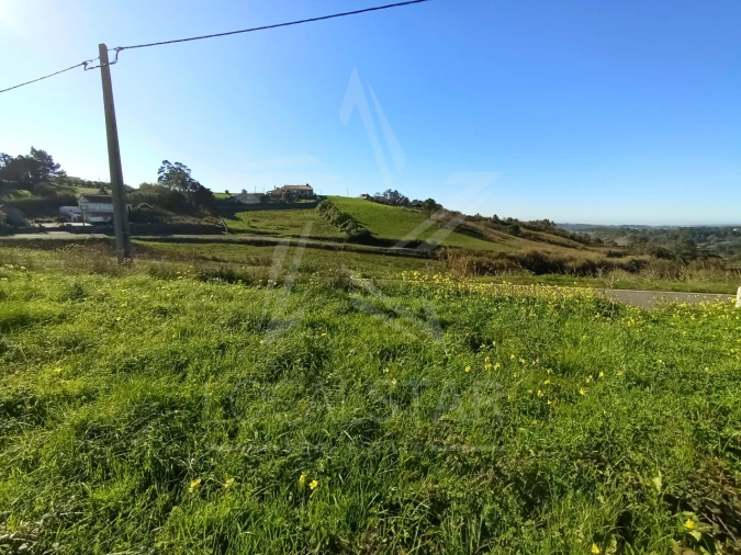 Terreno para Venda em Carvalhal Benfeito Foto 15