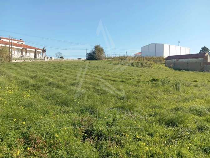 Terreno para Venda em Carvalhal Benfeito Foto 23