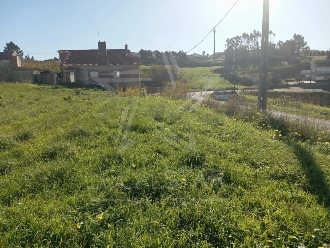 Terreno para Venda em Carvalhal Benfeito Foto 24