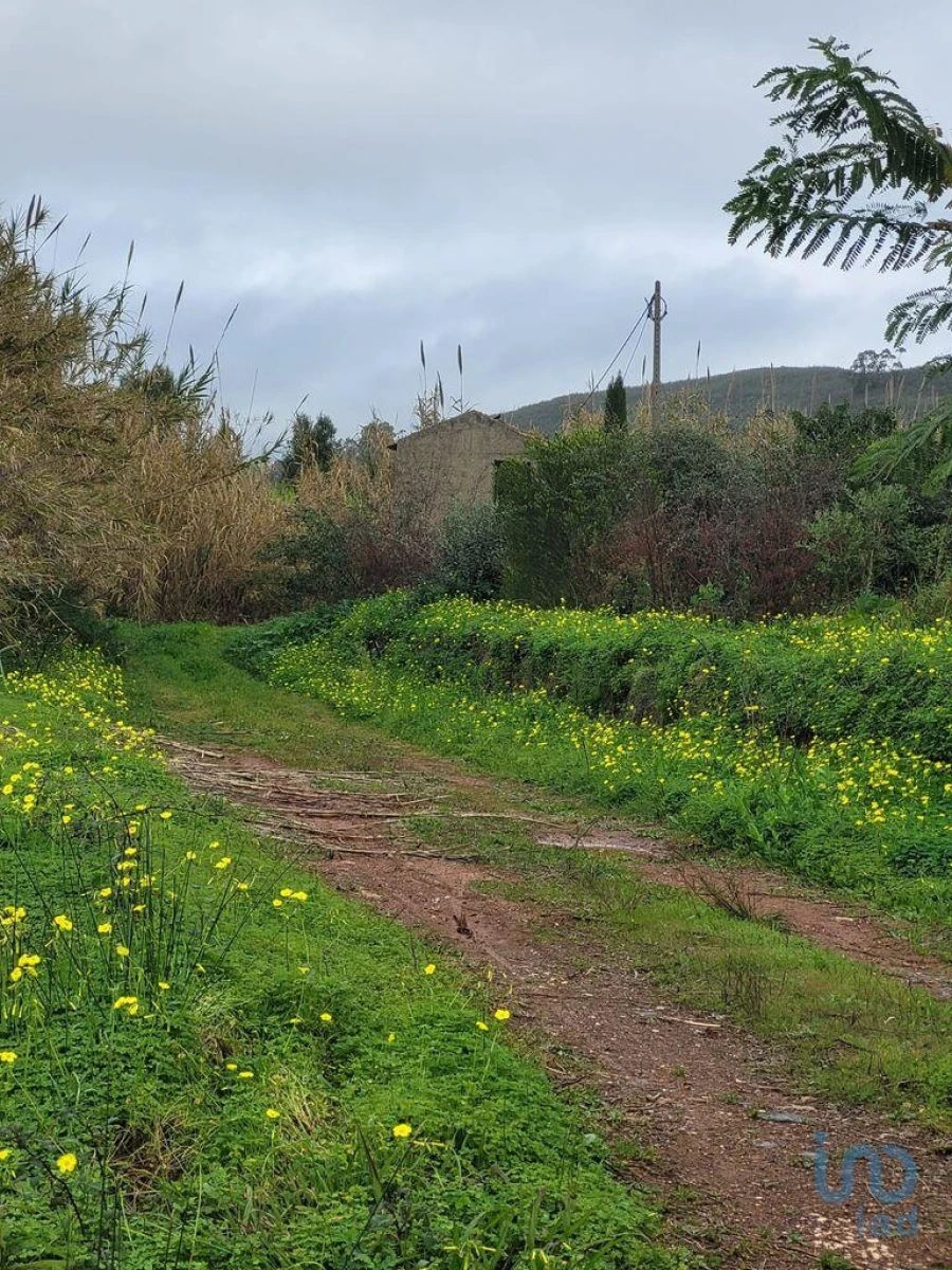 Terreno para Venda em Silves Foto 3
