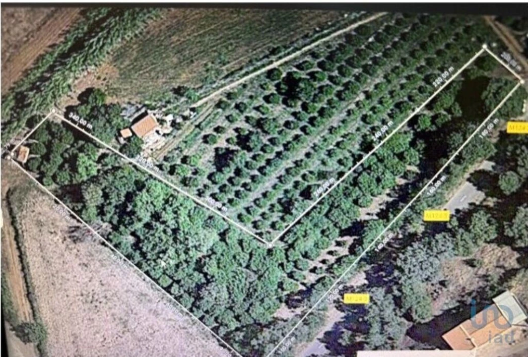 Terreno para Venda em Silves Foto 6