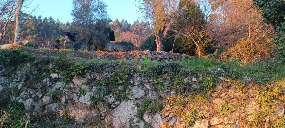 Moradia T3 para Venda em Ribeira do Neiva Foto 18