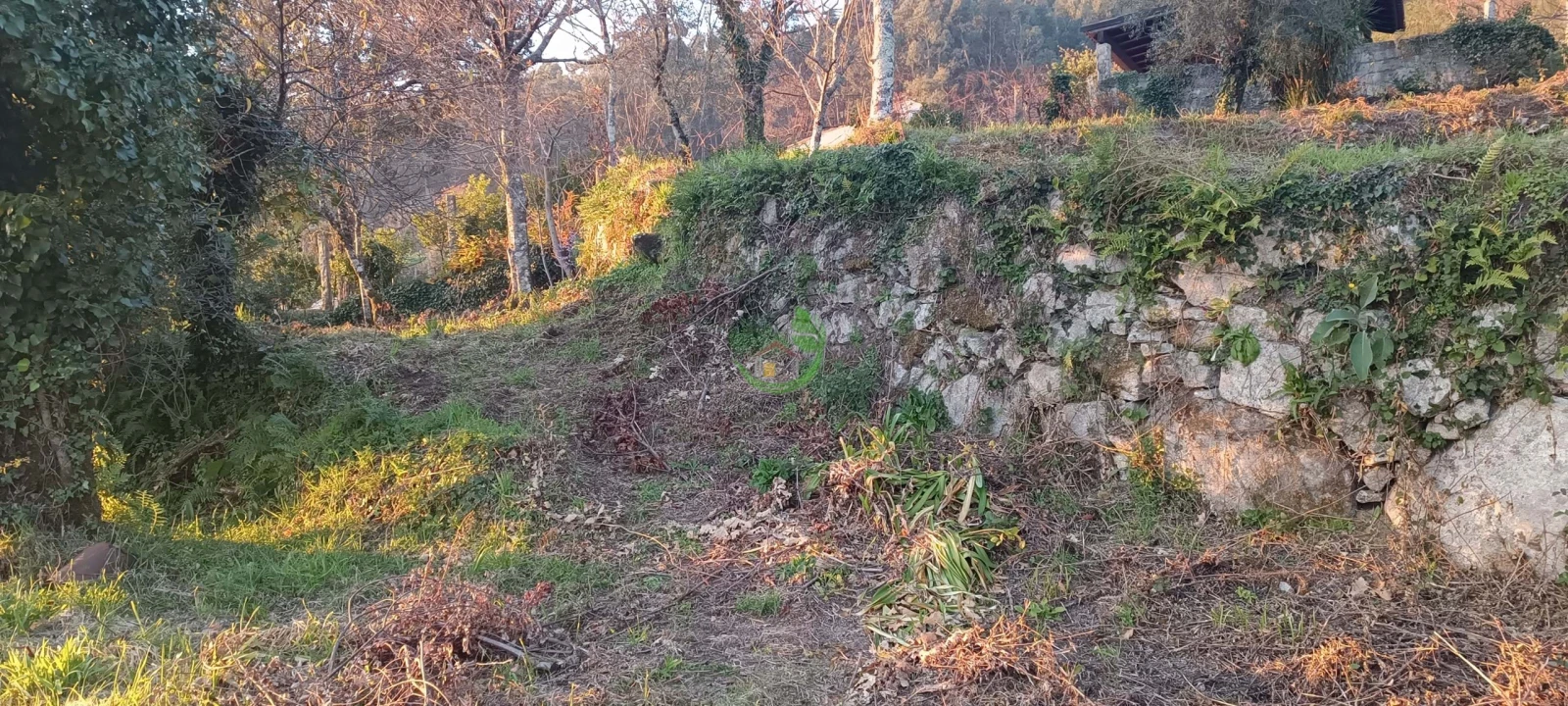 Moradia T3 para Venda em Ribeira do Neiva Foto 19