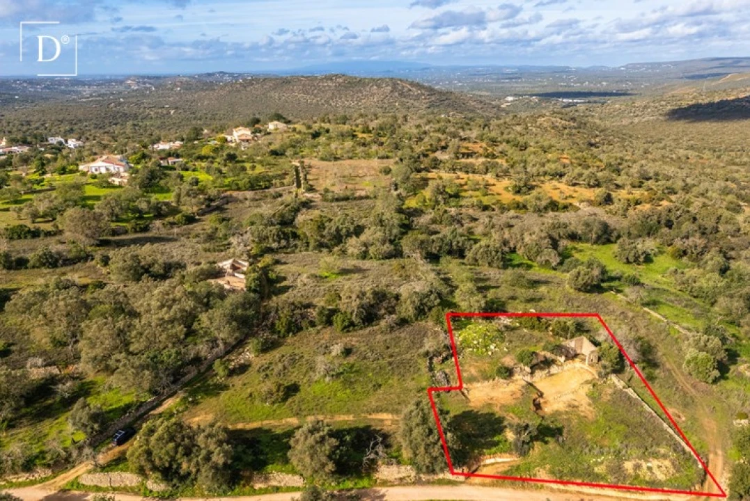 Terreno para Venda em Loule (São Clemente) Foto 6