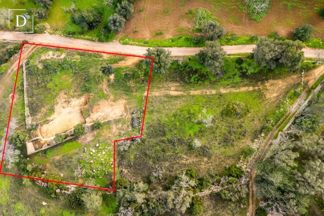 Terreno para Venda em Loule (São Clemente) Foto 3