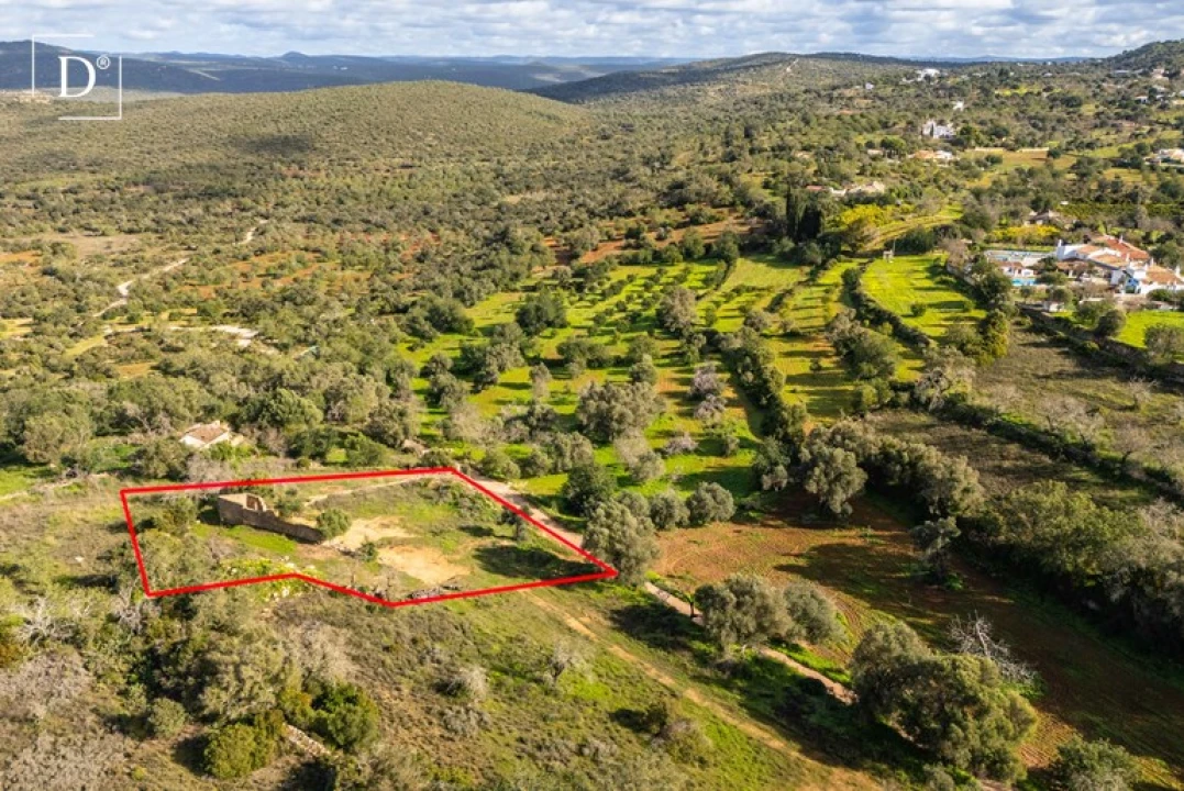 Terreno para Venda em Loule (São Clemente) Foto 10