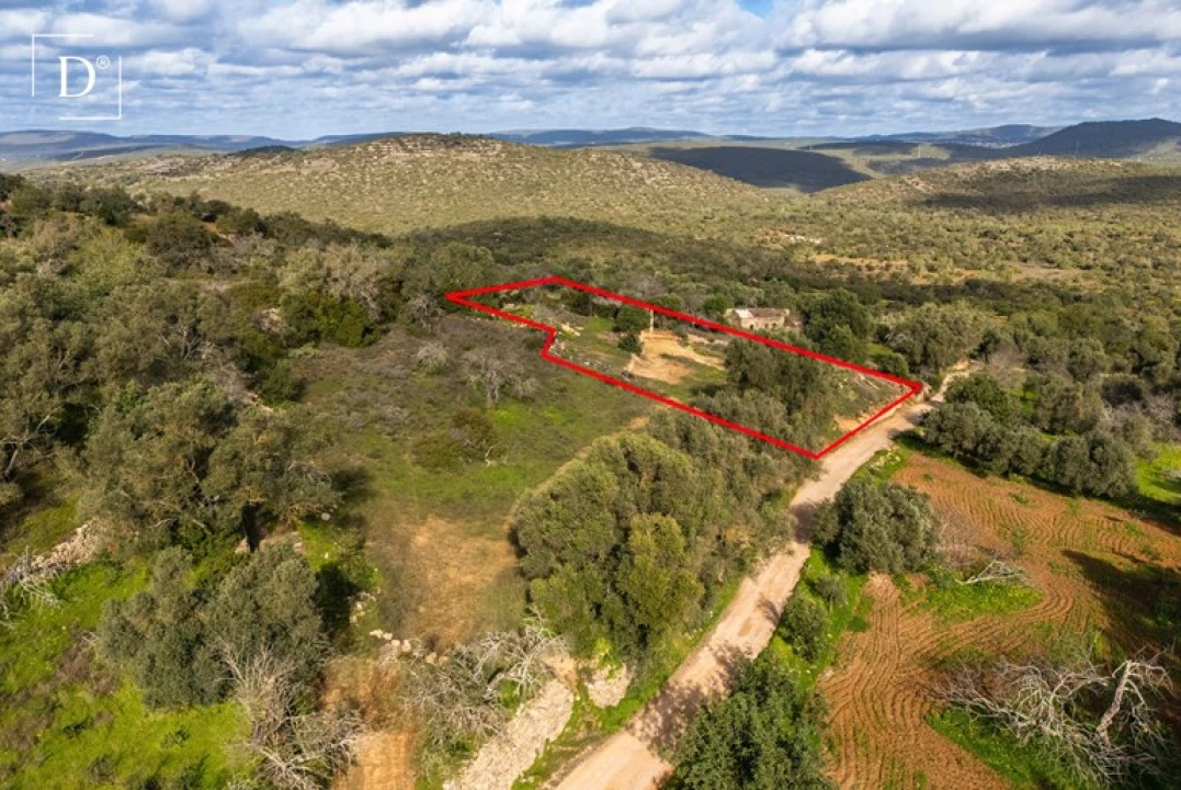 Terreno para Venda em Loule (São Clemente) Foto 11