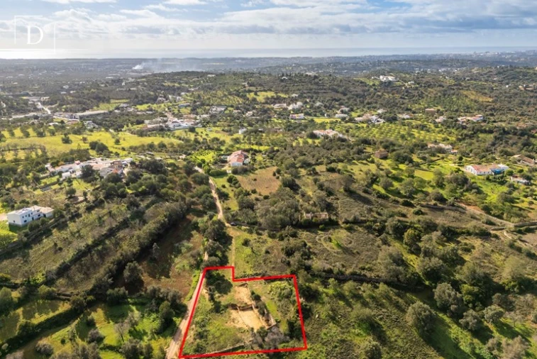 Terreno para Venda em Loule (São Clemente) Foto 5