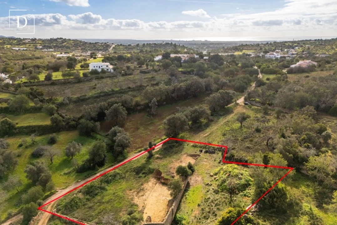 Terreno para Venda em Loule (São Clemente) Foto 12