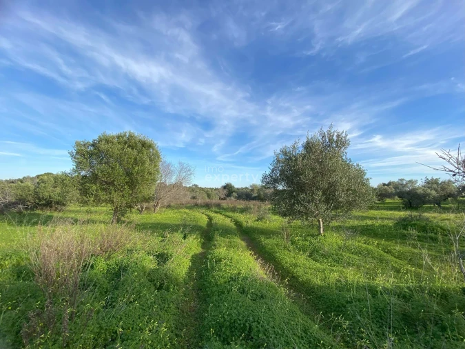 Quinta T4 para Venda em Conceição e Cabanas de Tavira Foto 8