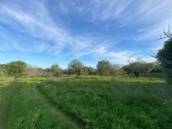 Quinta T4 para Venda em Conceição e Cabanas de Tavira Foto 6