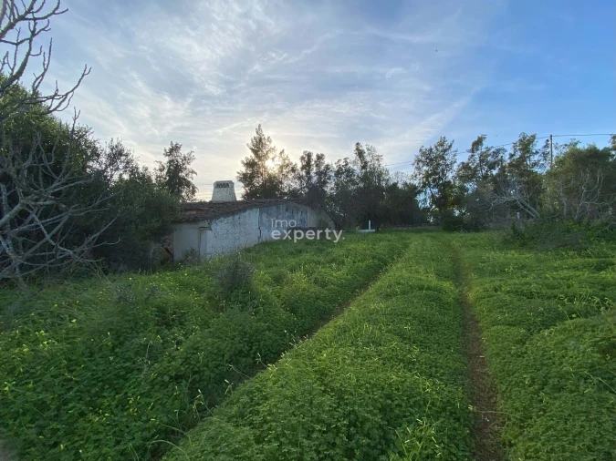 Quinta T4 para Venda em Conceição e Cabanas de Tavira Foto 10