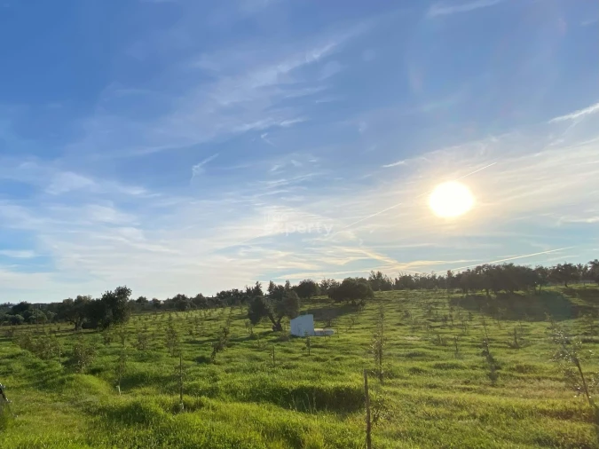 Quinta T4 para Venda em Conceição e Cabanas de Tavira Foto 16