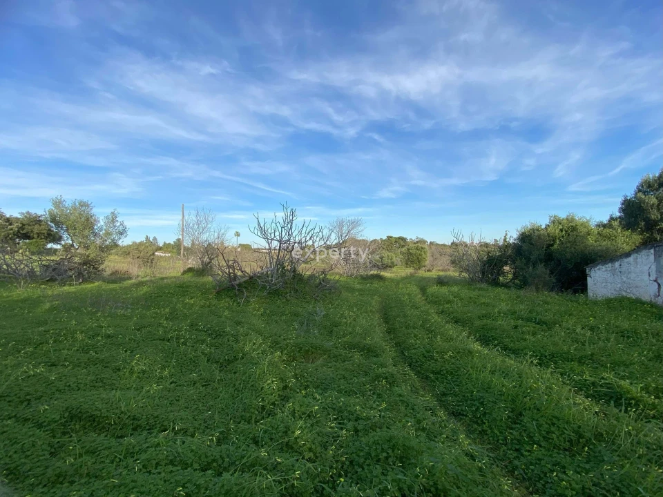Quinta T4 para Venda em Conceição e Cabanas de Tavira Foto 7