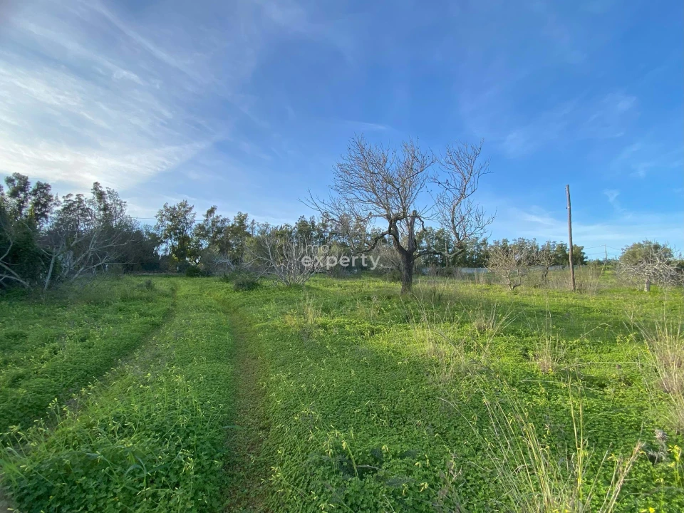 Quinta T4 para Venda em Conceição e Cabanas de Tavira Foto 9